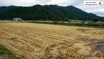 View Outside Takefu Knife Village 2